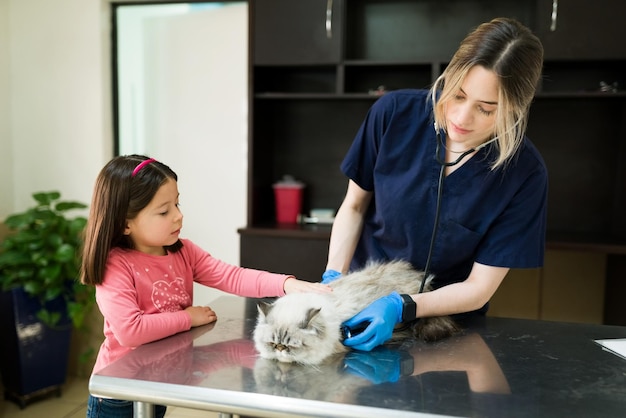 Schöne Frau, die als professionelle Tierärztin mit einem Stethoskop arbeitet, um das Herz einer alten persischen Katze in der Tierklinik zu hören. Kleines Mädchen, das ihre Katze zum Tierarzt bringt