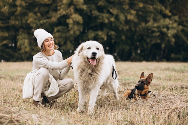 Schöne Frau, die heraus ihre Hunde auf einem Gebiet geht