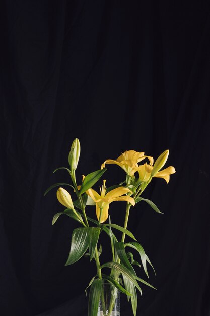 Schöne frische Blumen mit grünen Blättern im Vase