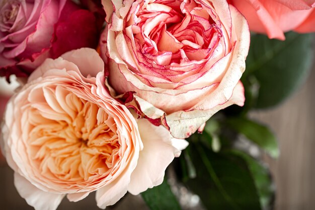 Schöne frische Rosen in verschiedenen Farben schließen