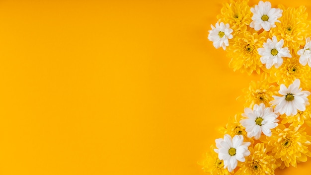 Schöne Frühlingsblumenkomposition mit Kopienraum