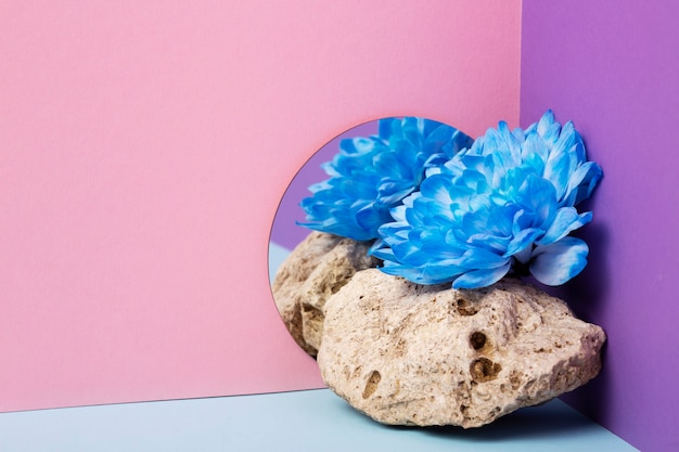 Schöne Frühlingstapete mit Blume auf Felsen