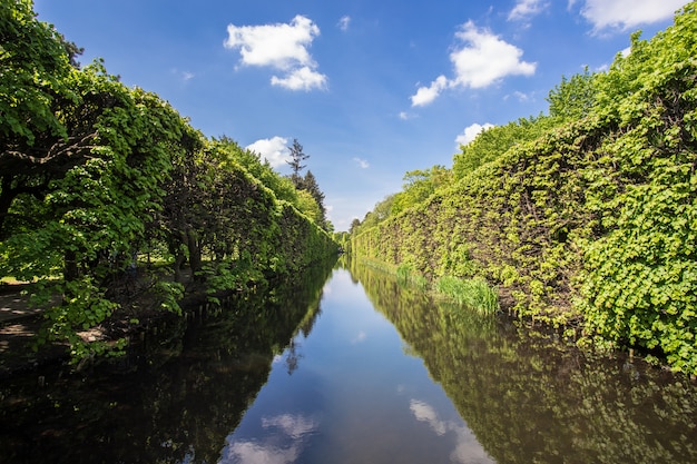 Schöne Gasse mit einem Fluss mit den Reflexionen der Bäume in Danzig, Polen