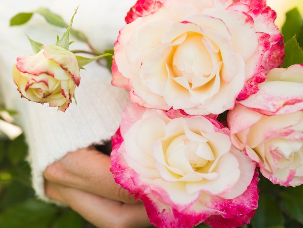 Schöne gelbe und rosa Rose Bouquet