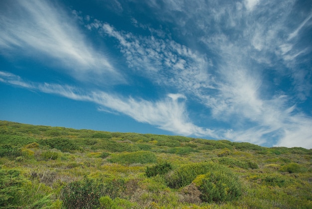 Schöne grüne Landschaft mit Büschen unter einem bewölkten Himmel in Portugal