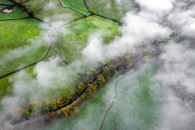 Schöne grüne Landschaft mit Plantagen und Bäumen unter einem bewölkten Himmel