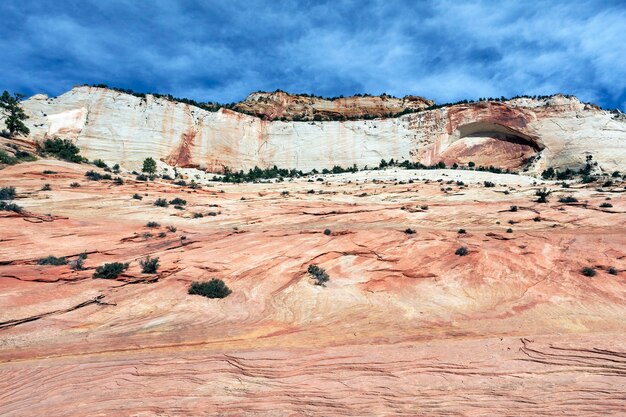 Schöne Hänge der Zion-Schlucht. Utah. USA.