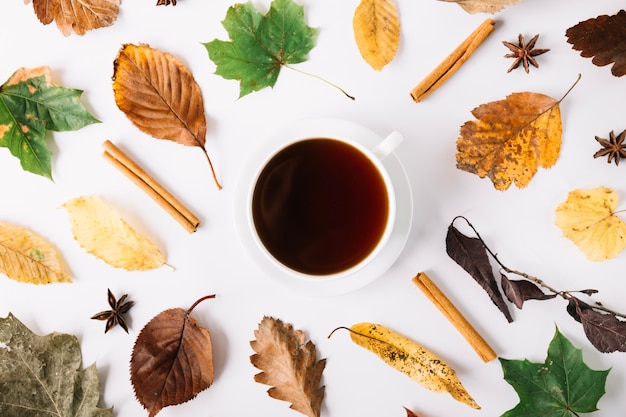 Schöne Herbst Zusammensetzung mit Tee