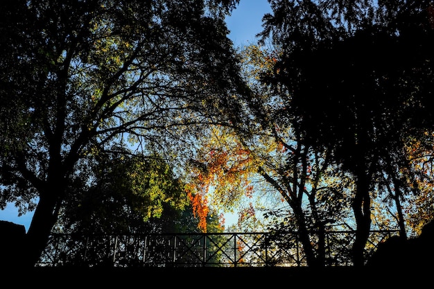 Schöne Herbstlandschaft im Giardini Pubblici Indro Montanelli Park in Mailand, Italien