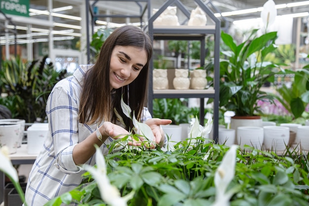 Schöne junge Frau in einem Blumenladen und Blumen wählen. Das Konzept von Gartenarbeit und Blumen.