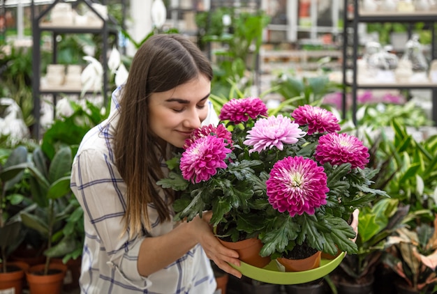 Schöne junge Frau in einem Blumenladen und Blumen wählen.