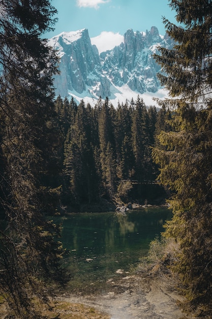 Schöne Landschaft der grünen Bäume nahe dem Gewässer über hohen Bergen