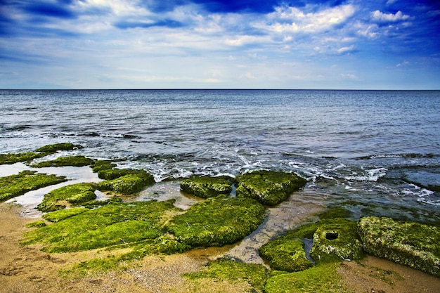 Schöne Landschaft der Küste mit vielen Felsen mit Moos bedeckt