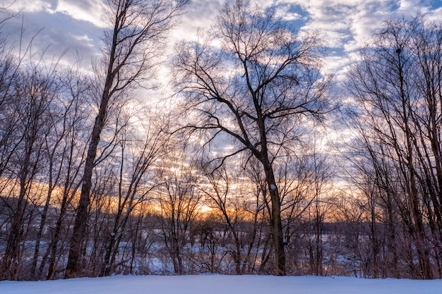 Schöne Landschaft der ländlichen Hügel während der Winterzeit