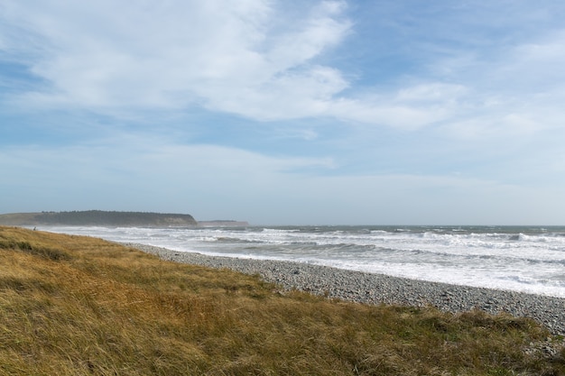 Kostenloses Foto schöne landschaft der ozeanwellen, die sich unter dem bewölkten himmel zum ufer bewegen