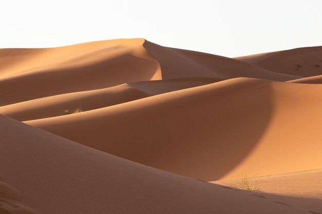 Schöne Landschaft der Sanddünen in einem Wüstengebiet an einem sonnigen Tag