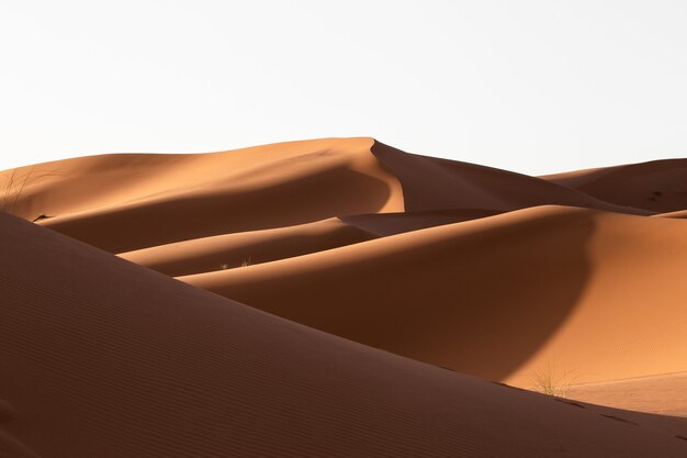 Schöne Landschaft der Sanddünen in einem Wüstengebiet an einem sonnigen Tag