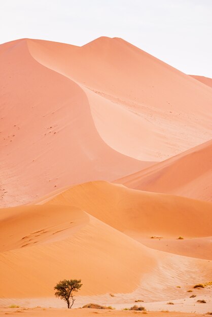 Schöne Landschaft der Sanddünen in Namibia Wüste, Sossusvlei, Namibia