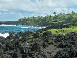 Kostenloses Foto schöne landschaft der scharfen felsformationen am strand unter dem bewölkten himmel in hawaii