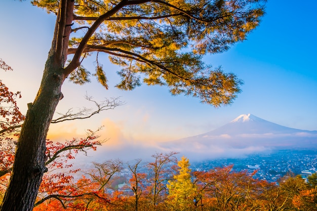 Schöne Landschaft des Berges Fuji mit Chureito Pagode um Ahornblattbaum in der Herbstsaison