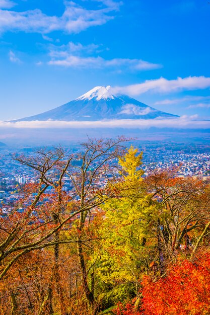 Schöne Landschaft des Berges Fuji um Ahornblattbaum in der Herbstsaison