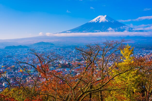 Schöne Landschaft des Berges Fuji um Ahornblattbaum in der Herbstsaison