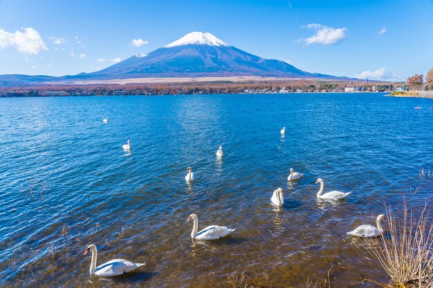 Schöne Landschaft des Berges Fuji um Yamanakako See