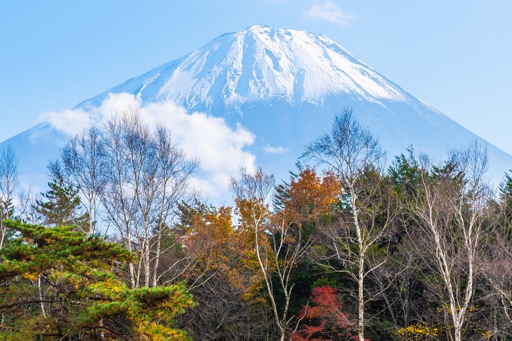 Kostenlose Foto schöne landschaft des berges fuji