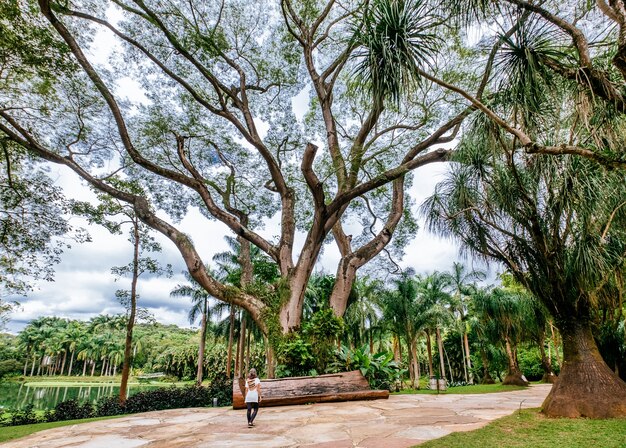 Schöne Landschaft des Mangal Das Garcas Parks in der Stadt Belem in Brasilien