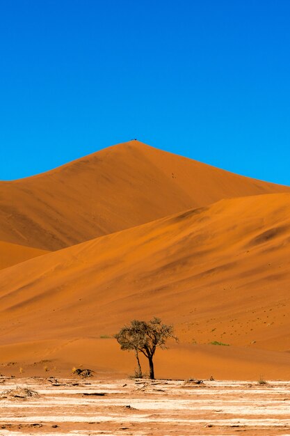 Schöne Landschaft des orange Sanddünen-Orangensandes an der Namib-Wüste im Namib-Naukluft-Nationalpark Sossusvlei in Namibia.