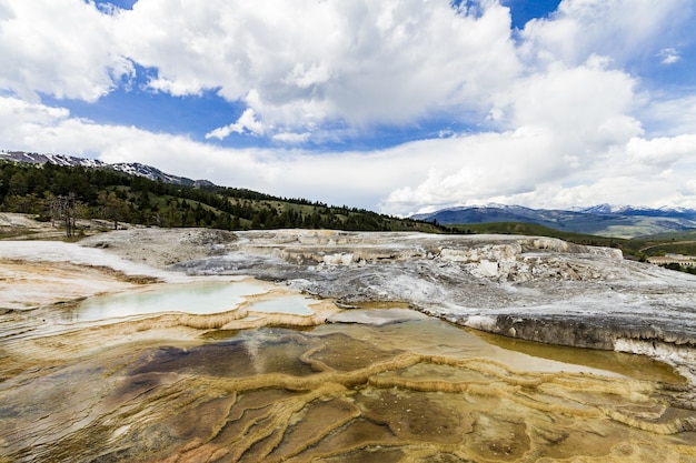 Schöne Landschaft des Yellowstone-Nationalparks entspringt in den Vereinigten Staaten