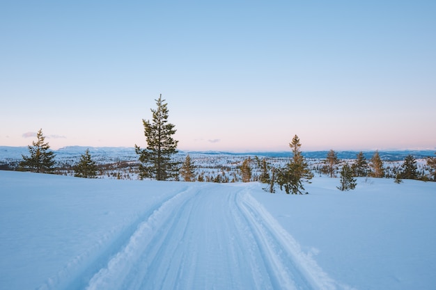 Kostenloses Foto schöne landschaft einer schneebedeckten gegend mit vielen grünen bäumen in norwegen