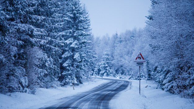 Schöne Landschaft einer vereisten Straße, umgeben von schneebedeckten Tannen