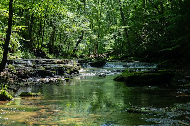 Schöne Landschaft eines Flusses, der tagsüber von Grün umgeben ist