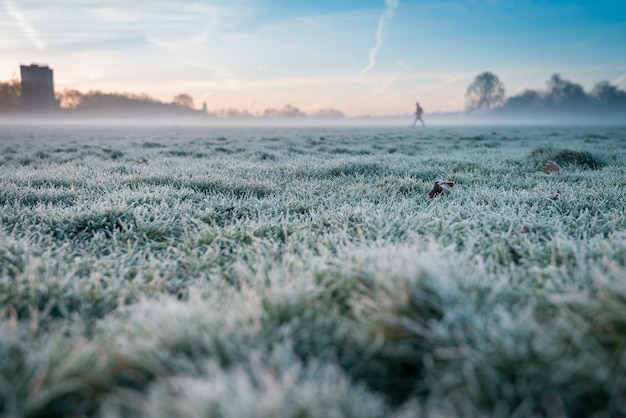 Schöne Landschaft eines Grasfeldes während des Sonnenuntergangs