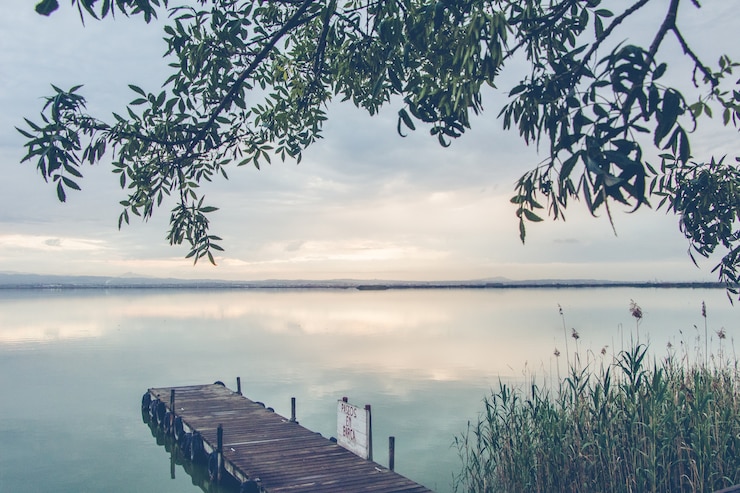 Kostenlose Foto schöne landschaft eines hölzernen docks am meer, umgeben von grünen pflanzen