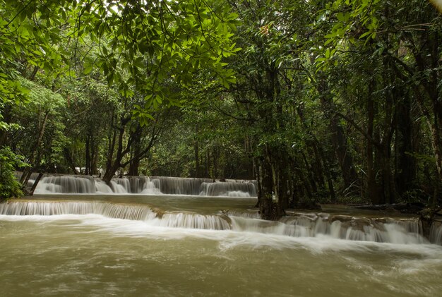Schöne Landschaft eines mächtigen Wasserfalls, der in einem Fluss in einem Wald fließt