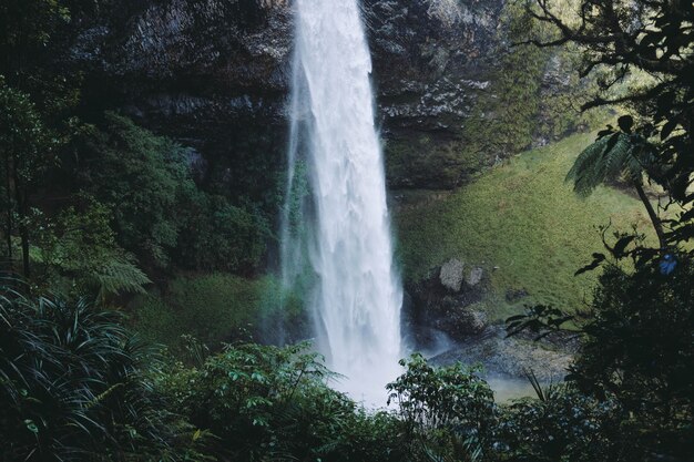 Schöne Landschaft eines mächtigen Wasserfalls in einem Wald, umgeben von grünen Bäumen