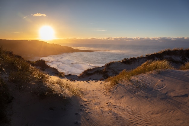 Schöne Landschaft eines sandigen Ufers mit Meerblick