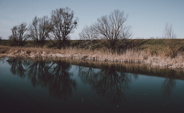 Schöne Landschaft eines Sees mit dem Spiegelbild von blattlosen Bäumen