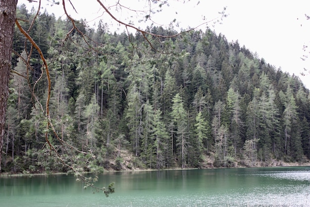 Schöne Landschaft eines Sees, umgeben von grünen Bäumen
