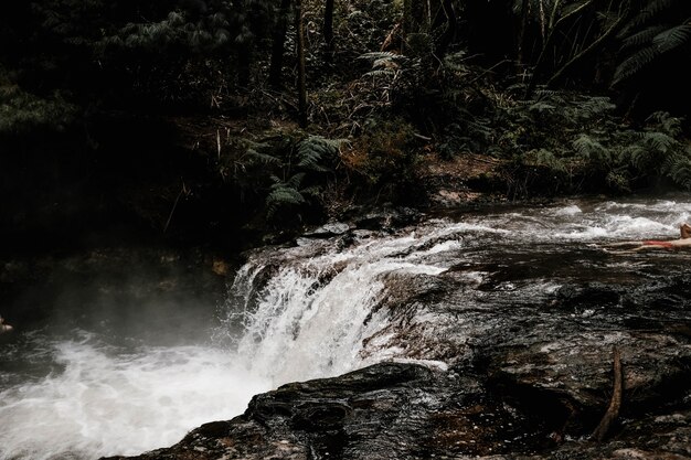 Schöne Landschaft eines Wasserfalls in einem Wald, umgeben von Nebel und Bäumen an einem regnerischen Tag