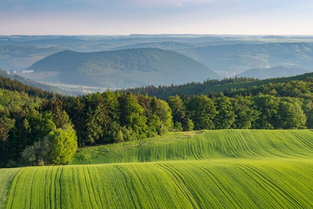 Schöne Landschaft erschossen von grünen Feldern auf Hügeln, die von einem grünen Wald umgeben sind