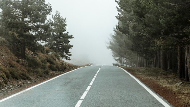 Kostenloses Foto schöne landschaft mit bäumen und straße