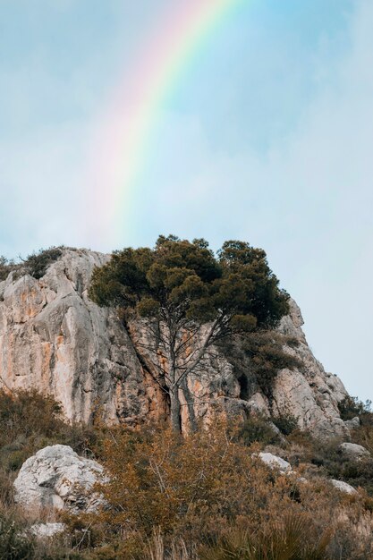 Schöne Landschaft mit Regenbogen und Felsen