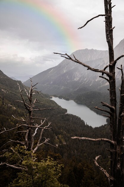 Schöne Landschaft mit Regenbogen und Hügel