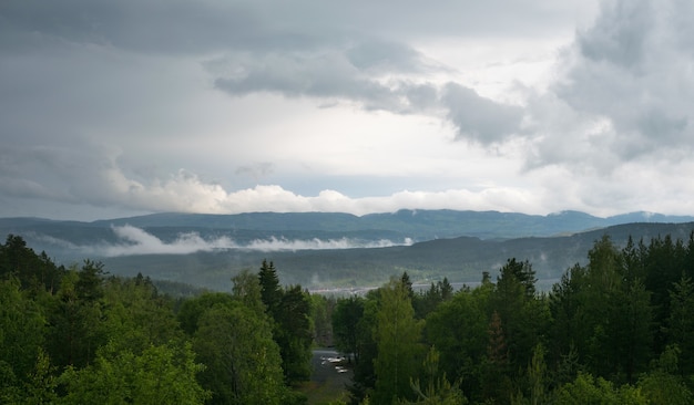 Schöne Landschaft mit vielen Tannen und Bergen