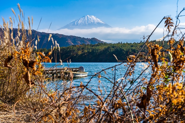 Kostenloses Foto schöne landschaft von berg fuji