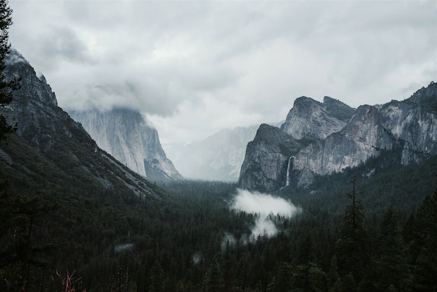 Schöne Landschaft von grünen Tannen, umgeben von hohen felsigen Bergen