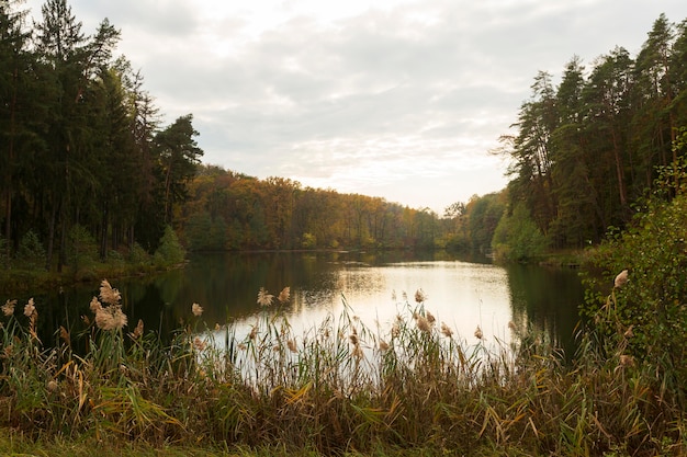 Schöne Landschaft von Mutter Natur